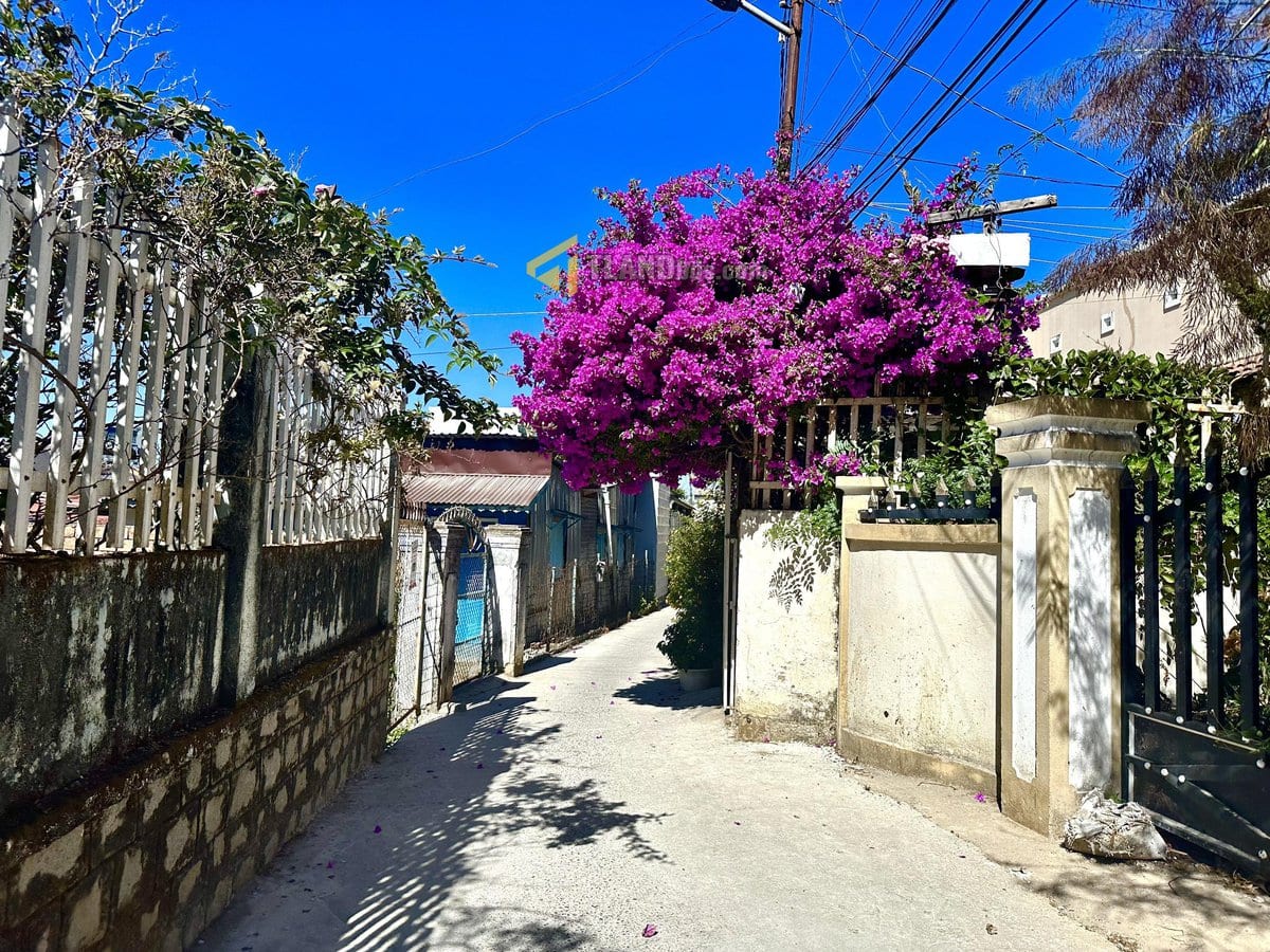 BÁN CĂN NHÀ NHỎ XINH CÓ SÂN VƯỜN ĐƯỜNG NGUYỄN DU, PHƯỜNG 9, ĐÀ LẠT