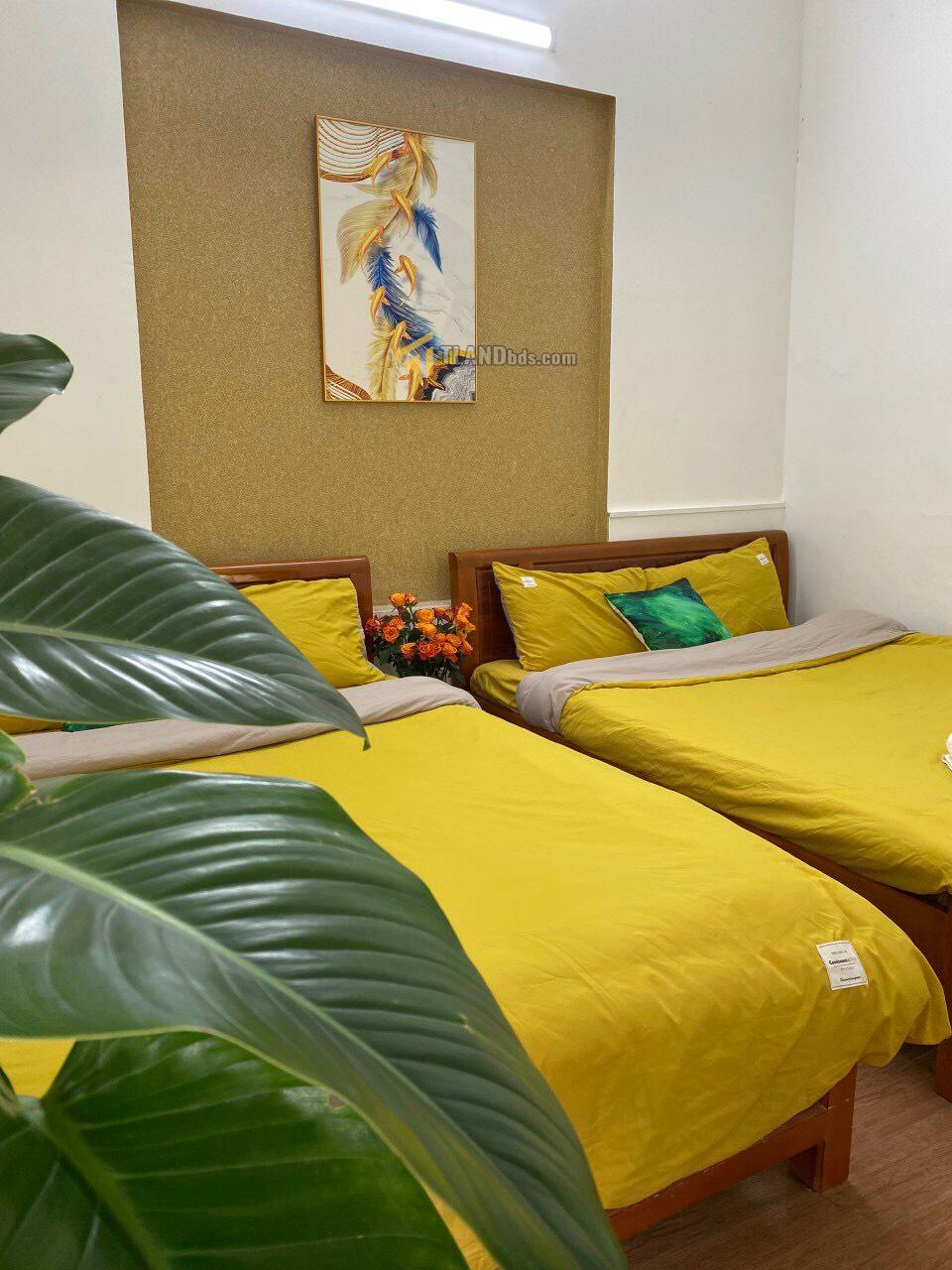 ❣️ Bán Khách sạn/CHDV Hai mặt tiền, Mặt tiền Sổ riêng Hai Bà Trưng, Phường 2, Đà Lạt, đường trước nhà 16m