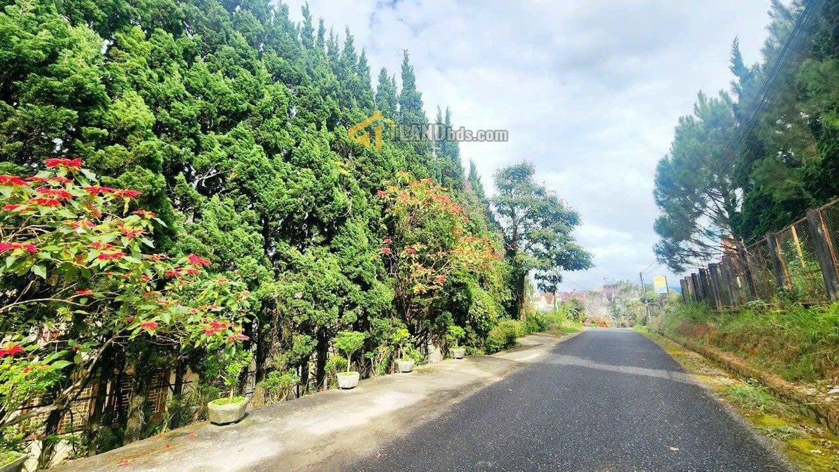BÁN VILLA SÂN VƯỜN CỰC XINH ĐƯỜNG LÝ NAM ĐẾ, PHƯỜNG 8, ĐÀ LẠT