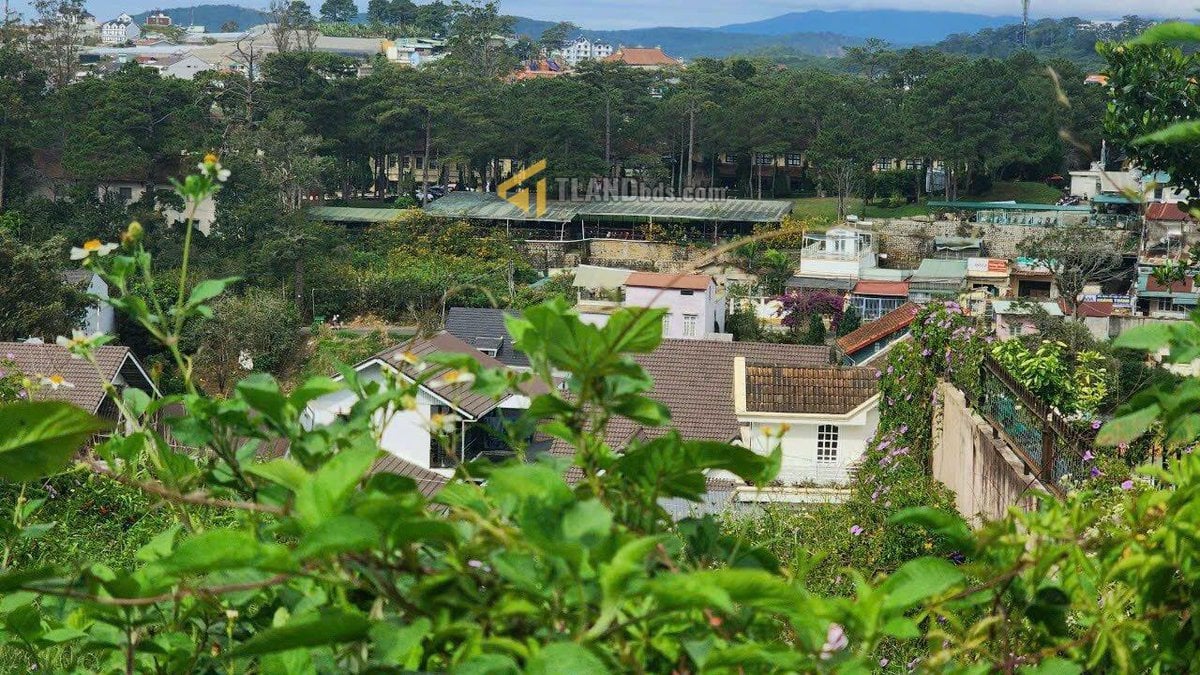 BÁN VILLA SÂN VƯỜN CỰC XINH ĐƯỜNG LÝ NAM ĐẾ, PHƯỜNG 8, ĐÀ LẠT